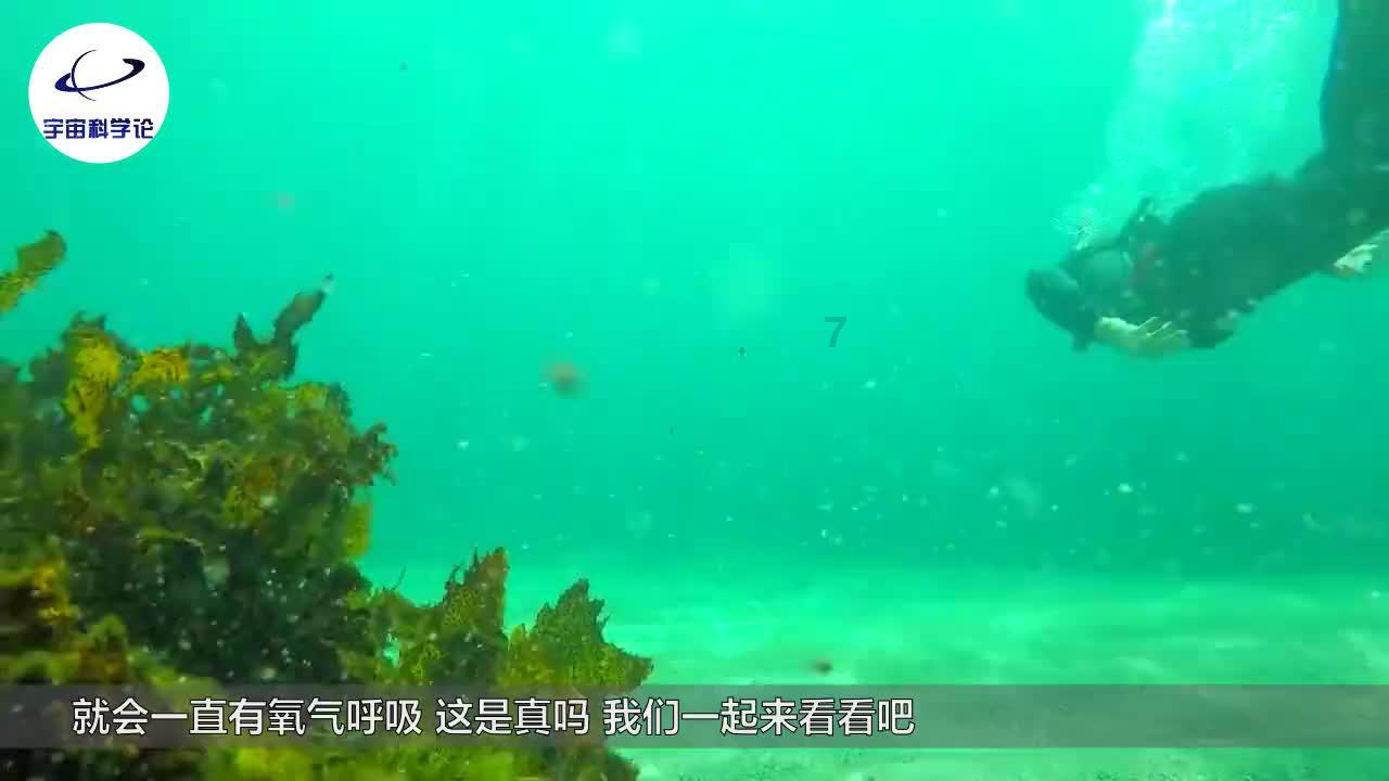 为什么年轻人越来越不爱打工了呢？