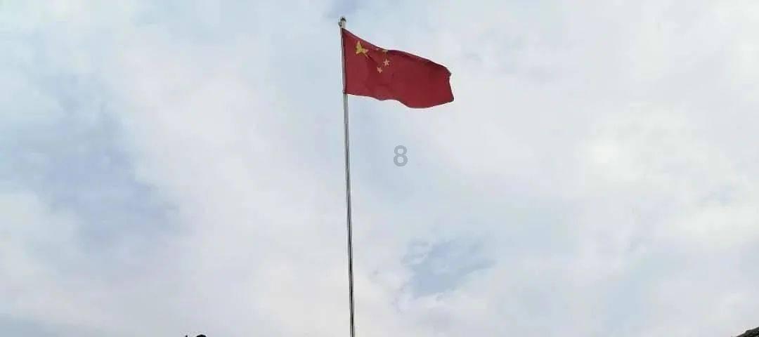 猫咪肚子一抽一抽的吐黄水